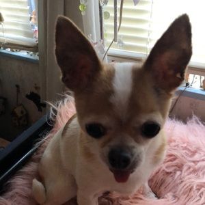 Meet your Posher, Nancy